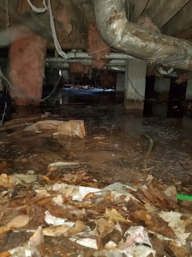 Crawl space flood assessment for Leak Detection & Repair in East Palo Alto